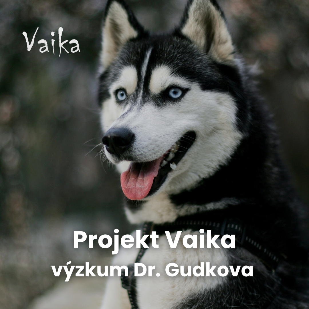 Projekt Vaika