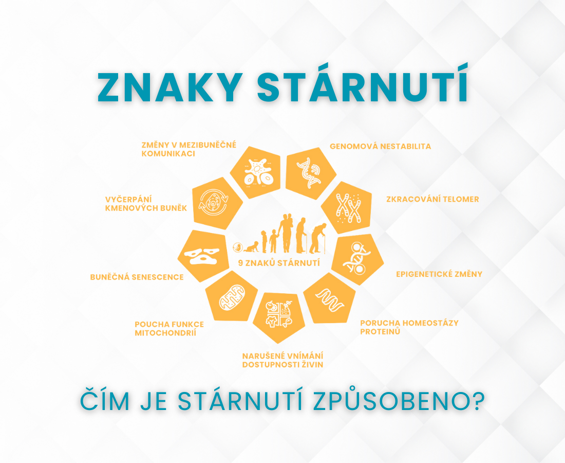 Znaky stárnutí - čím je stárnutí způsobeno?