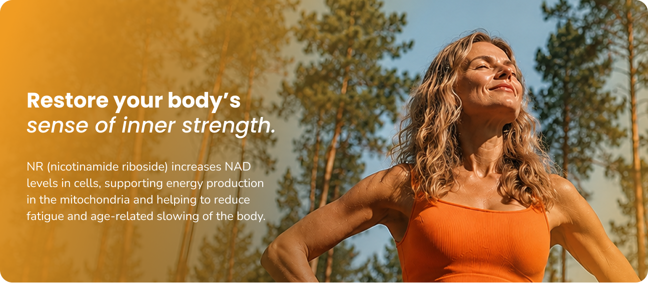 Support your energy at the cellular level.