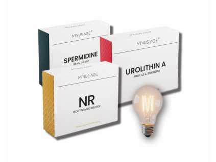 PHOTO 2025 11 20 15 41 25 3