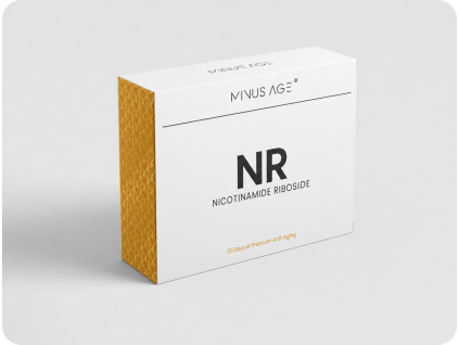 nr mockup (1)