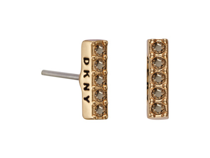 Náušnice Dkny 5520081 - Minuteka.cz