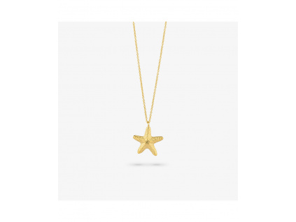 Náhrdelník Radiant RY000140 - Minuteka.cz