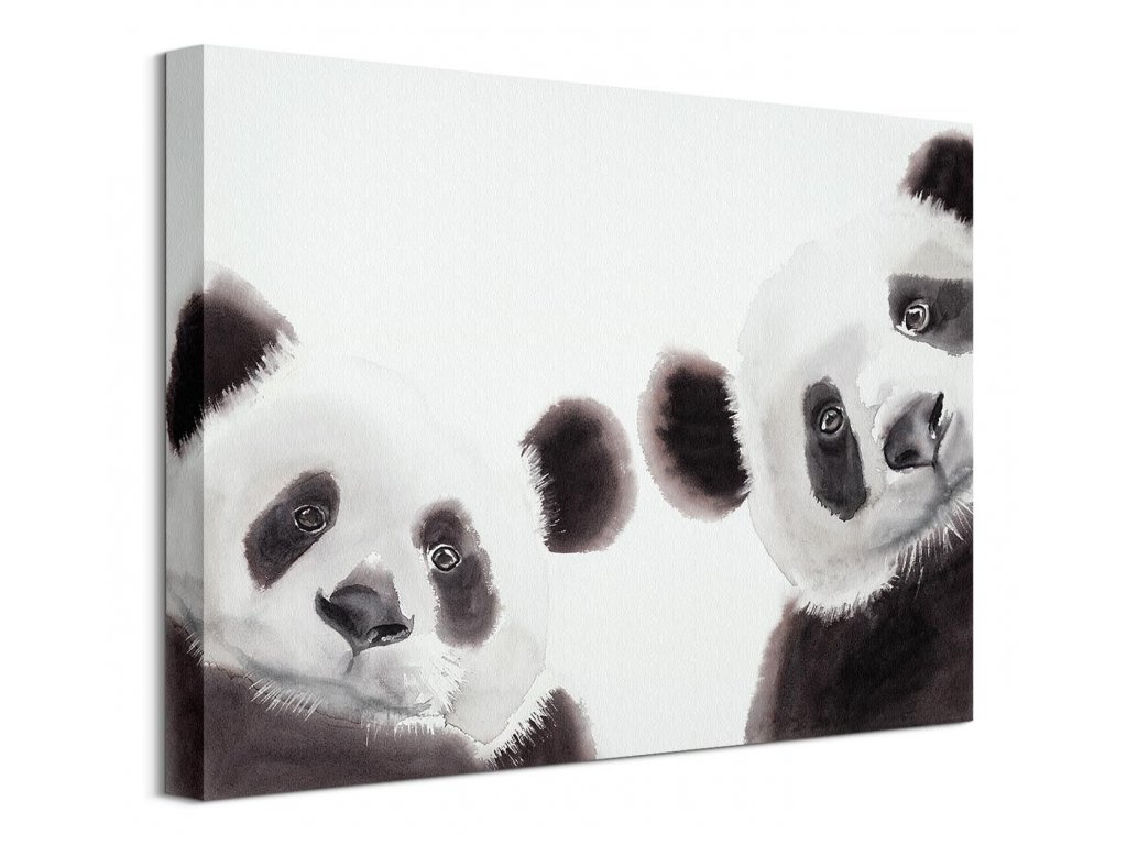 Dve pandy - obraz na plátne - 30x40 cm