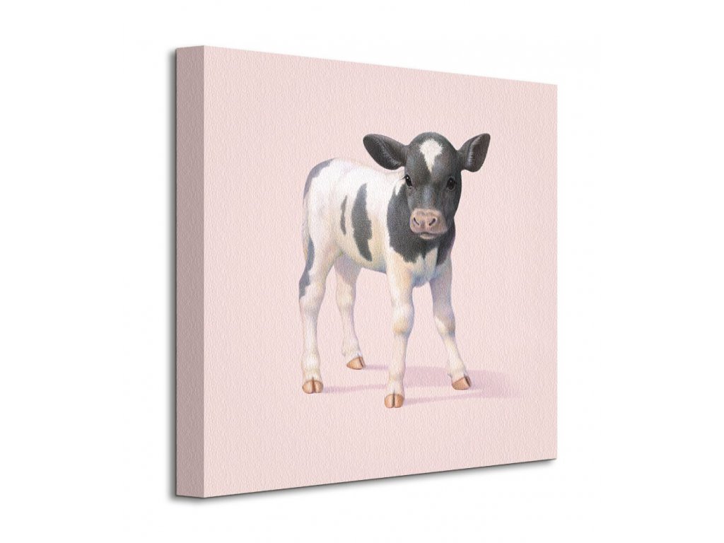 Krava - obraz na plátne - 40x40 cm