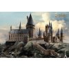Deň Bradavíc Harryho Pottera - plagát - 91,5x61 cm
