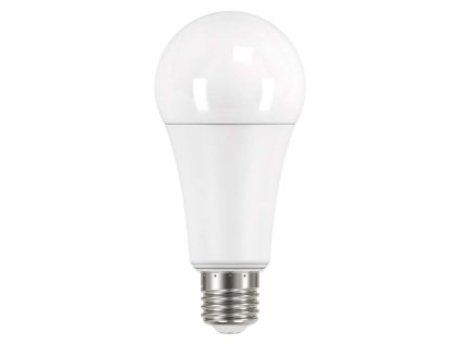 LED žárovka E27/19W/4100K