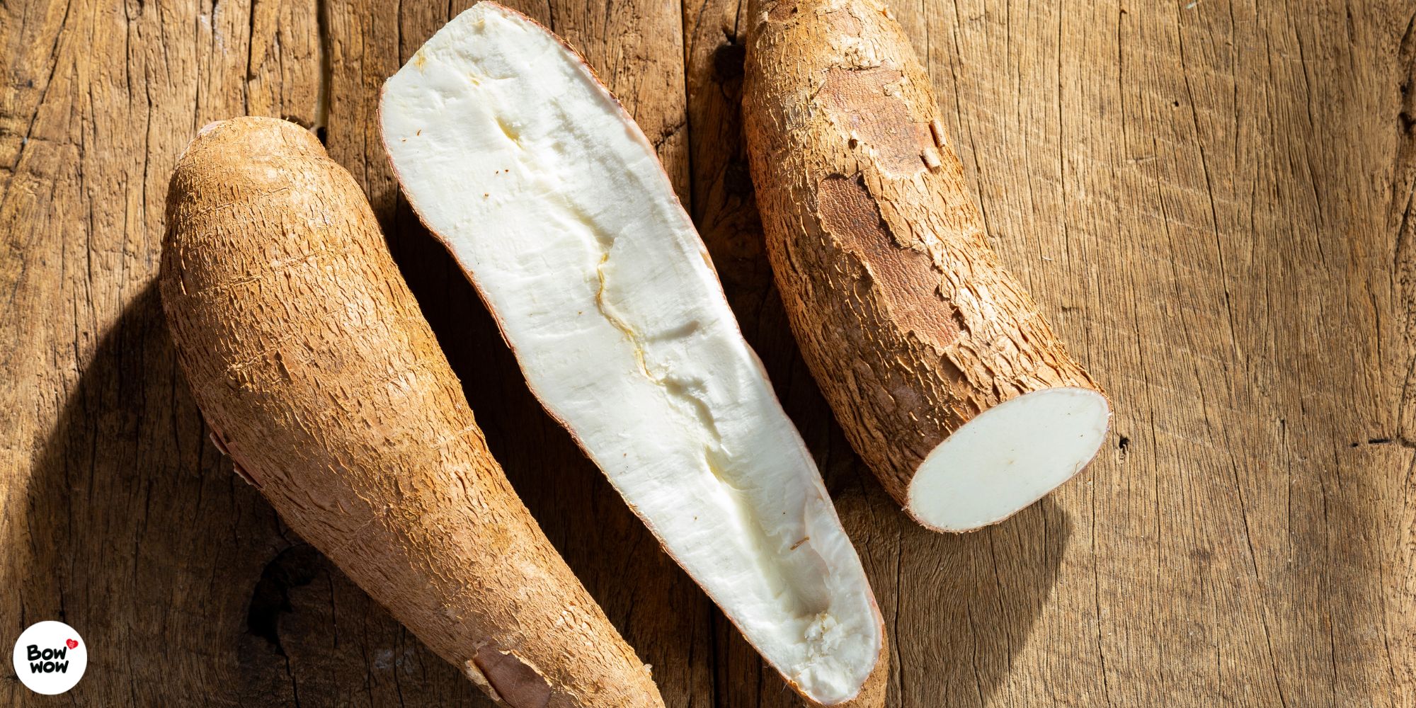 Yucca - Přírodní podpora trávení a kloubů