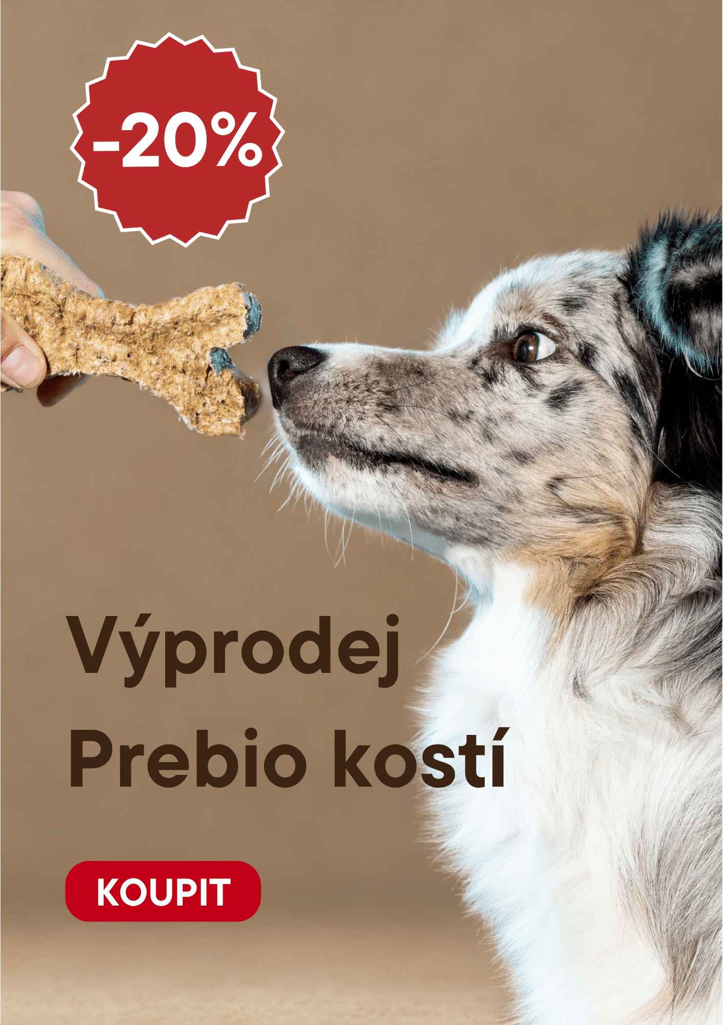 Prebio kosti_výprodej_mobil