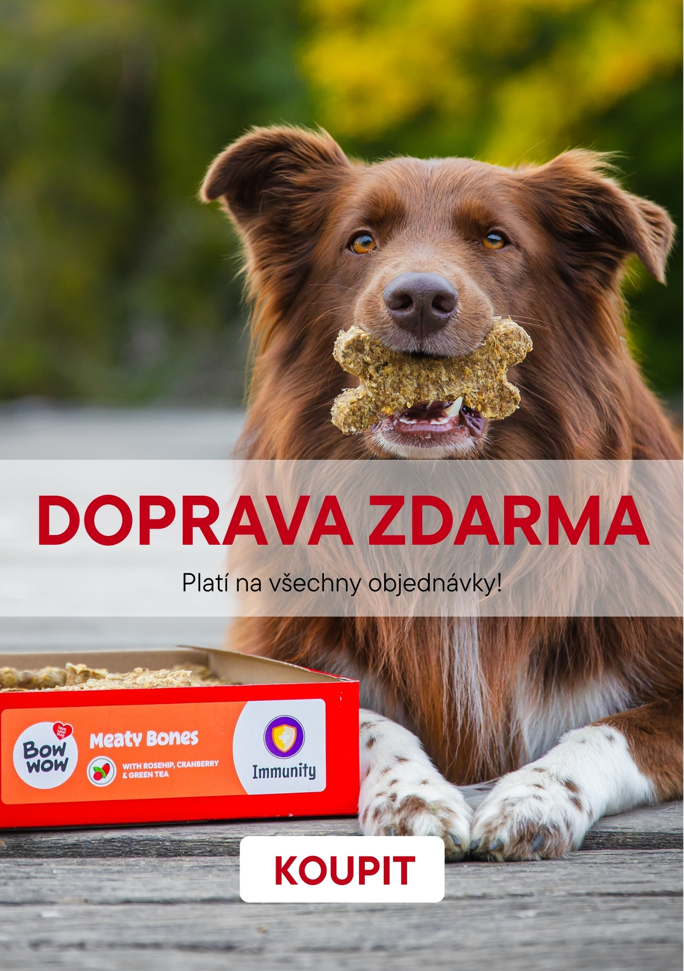 Doprava zdarma_mobil