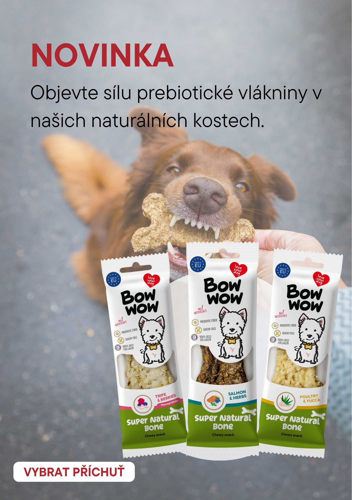 Naturální kosti_novinka_mobil