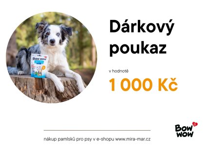 Dárkový poukaz 1000Kč