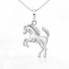 Strieborný prívesok " Kôň"