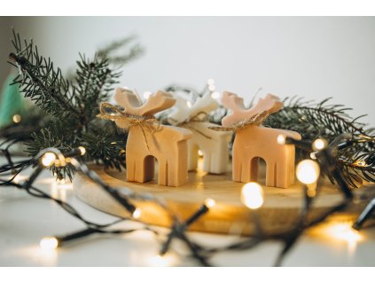 7B10301F 5CB2 40FE B37F 8C1C7006F18A