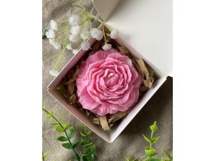 cb3e0308 3284 4d1a b18f b2151743d2e9