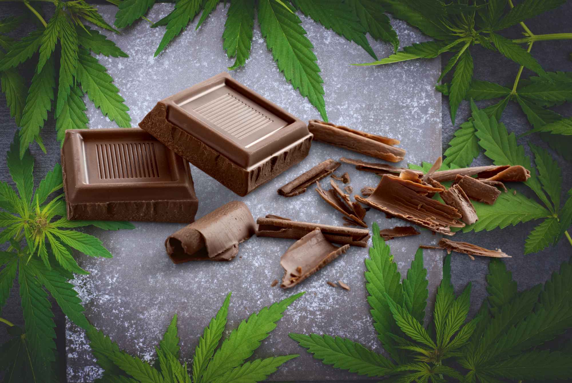 Superpotraviny z konopí: CBD čokoláda je fenomenální!