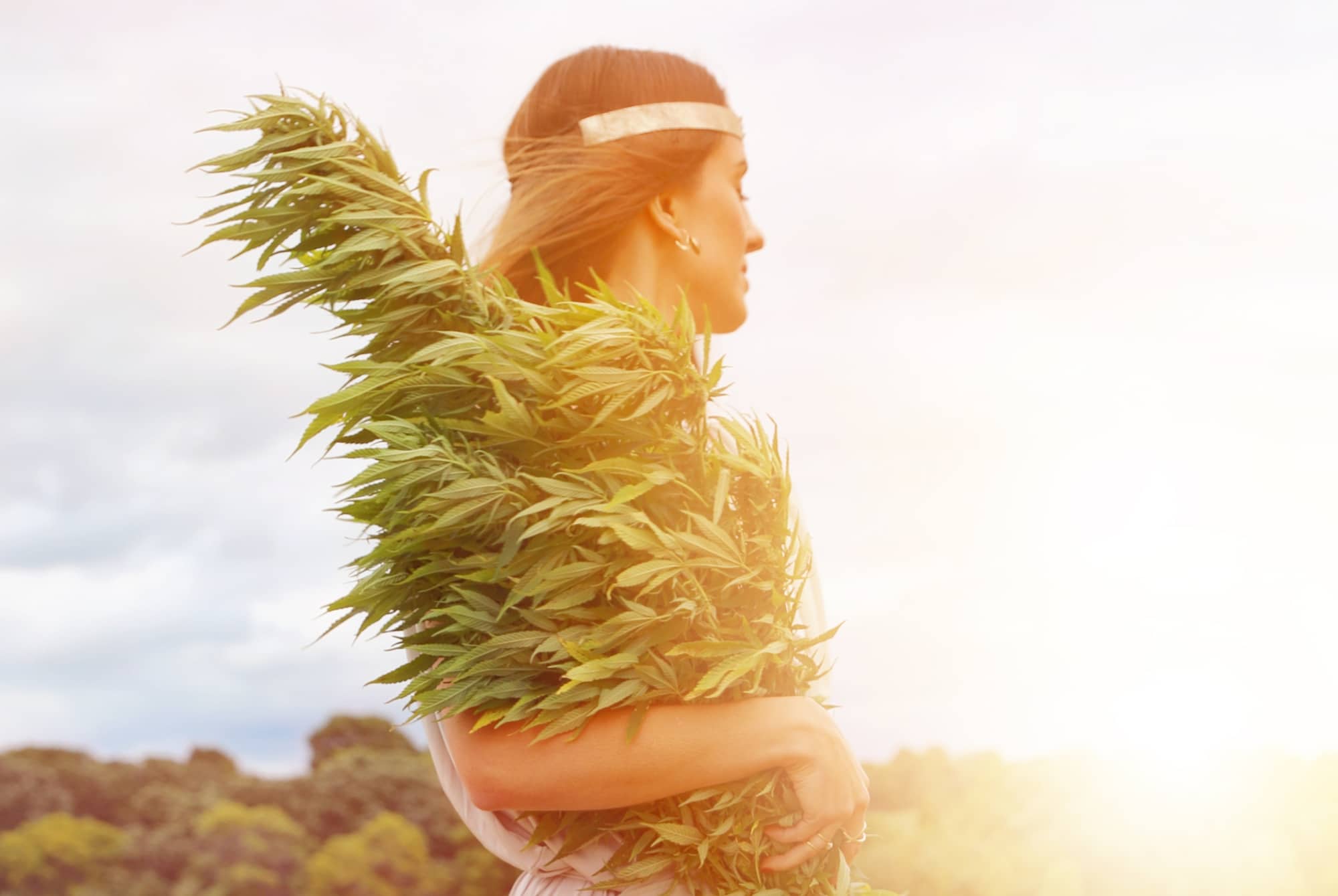 Déminozovaný kanabinoid THC: Aký je v skutočnosti tetrahydrokanabinol?