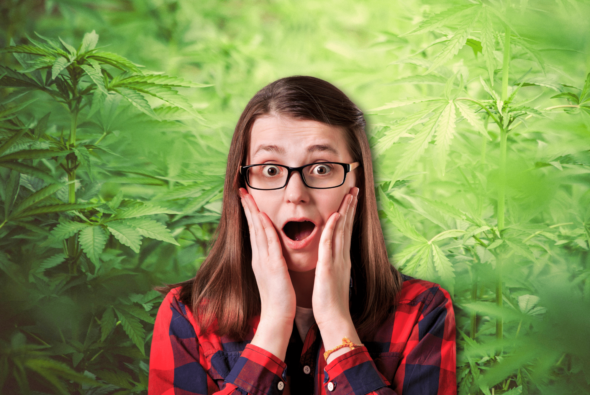 The royal family used cannabis in the 19th century. Which one was it?