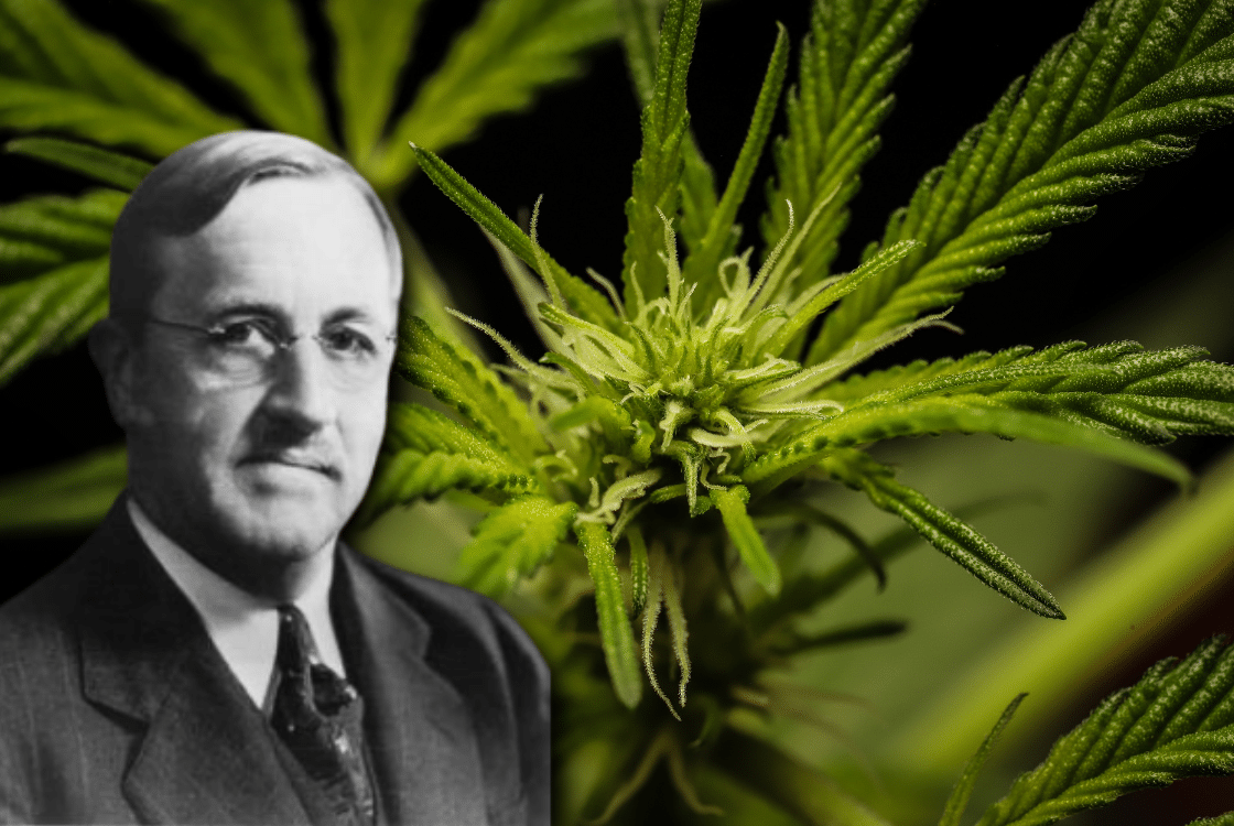 Roger Adams: Ten, který objevil kanabinoidy CBD a HHC