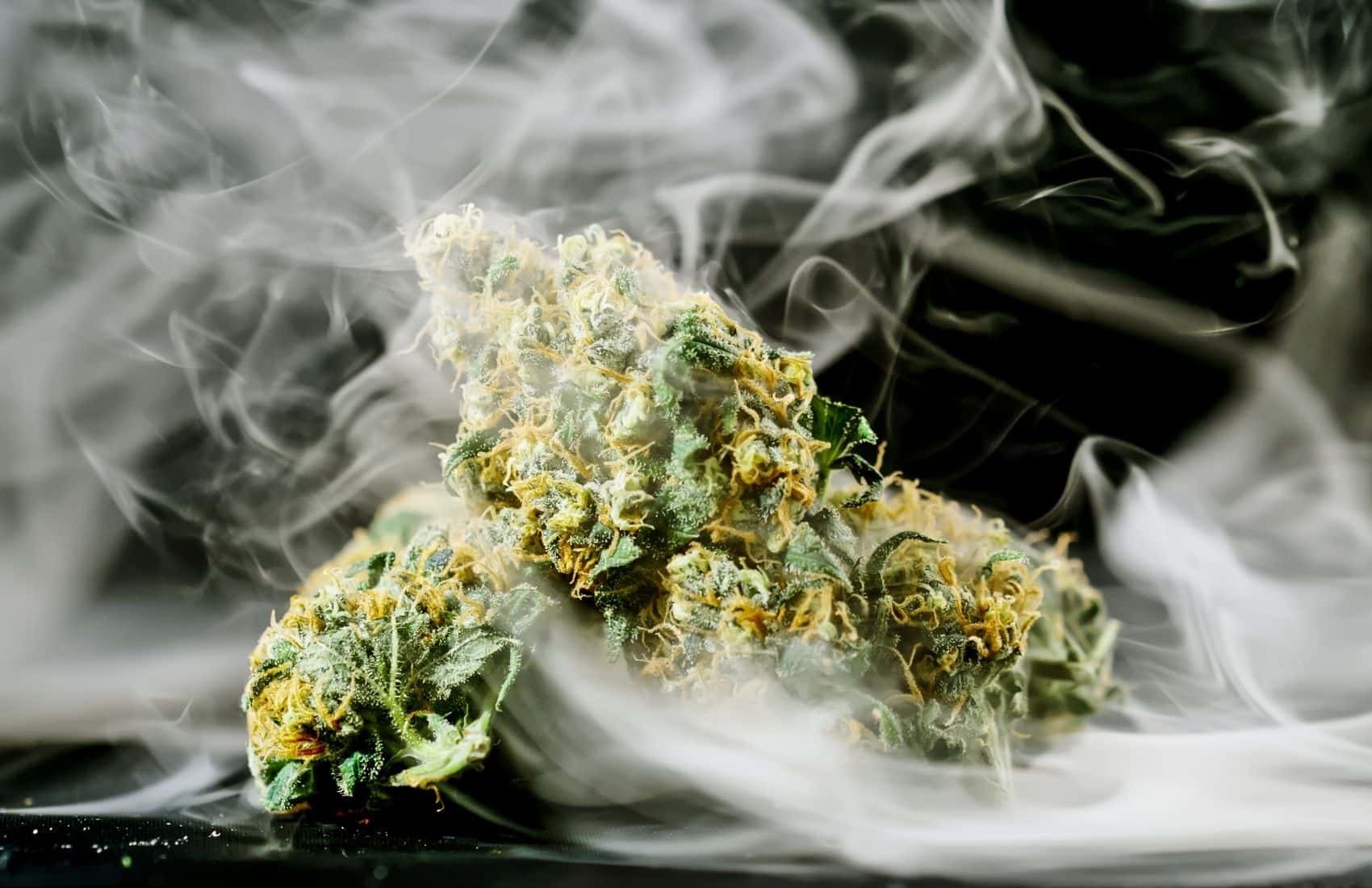 CBD flowers: Twenty percent CBD? No problem!