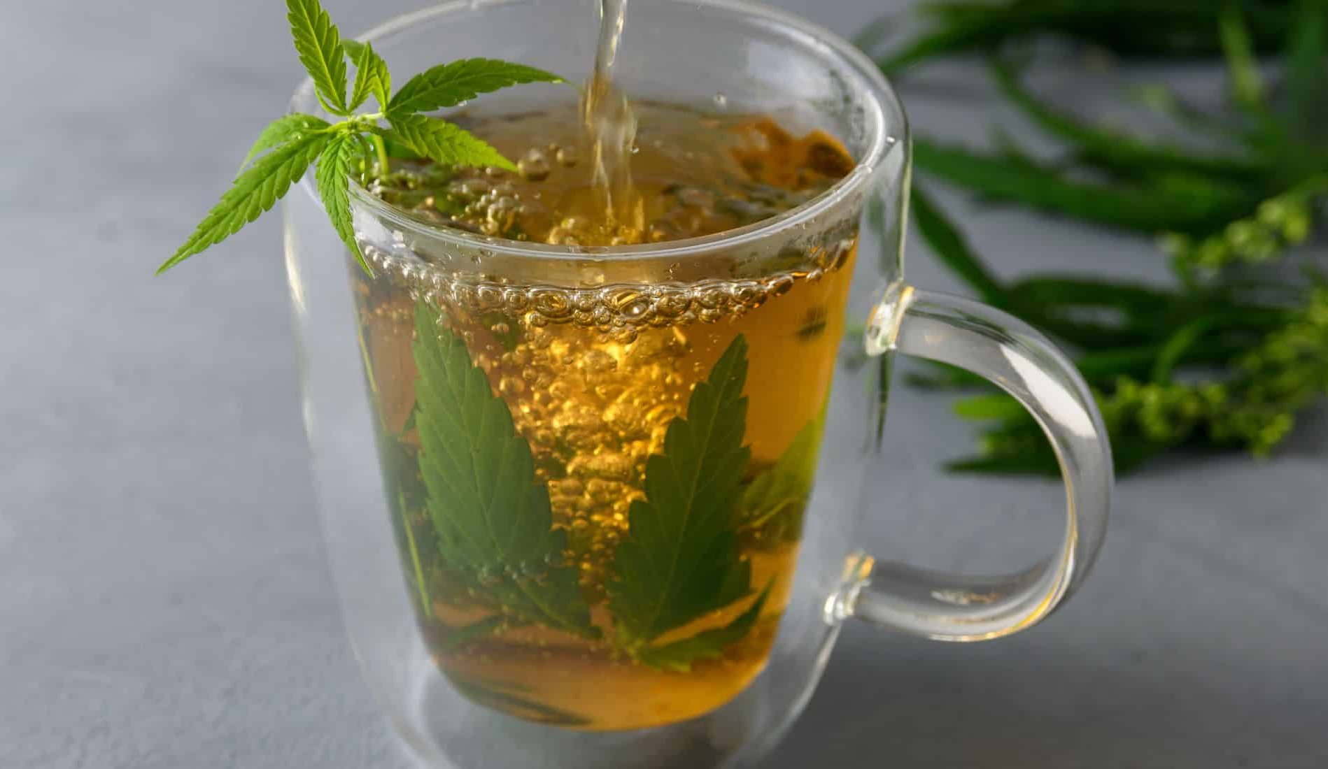 Hemp tea: Discover the beneficial effects of CBD tea