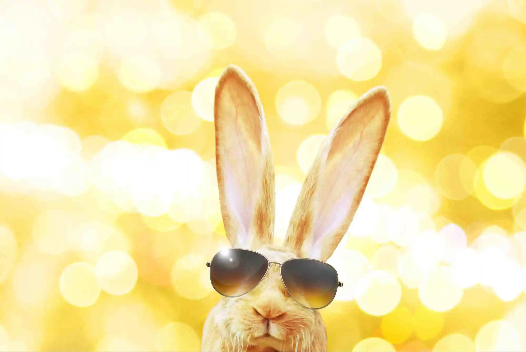 CBD & HHC products: Easter menu tips