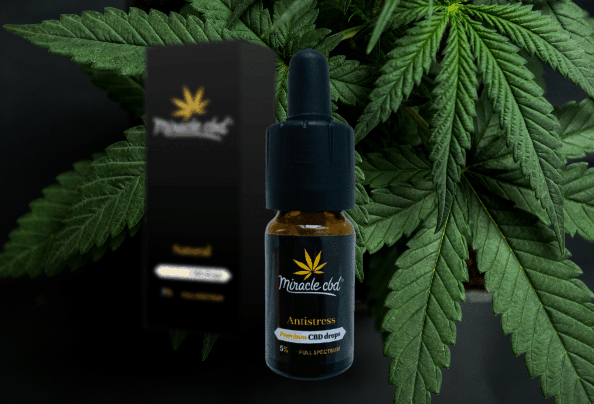 Hemp oil and its effects