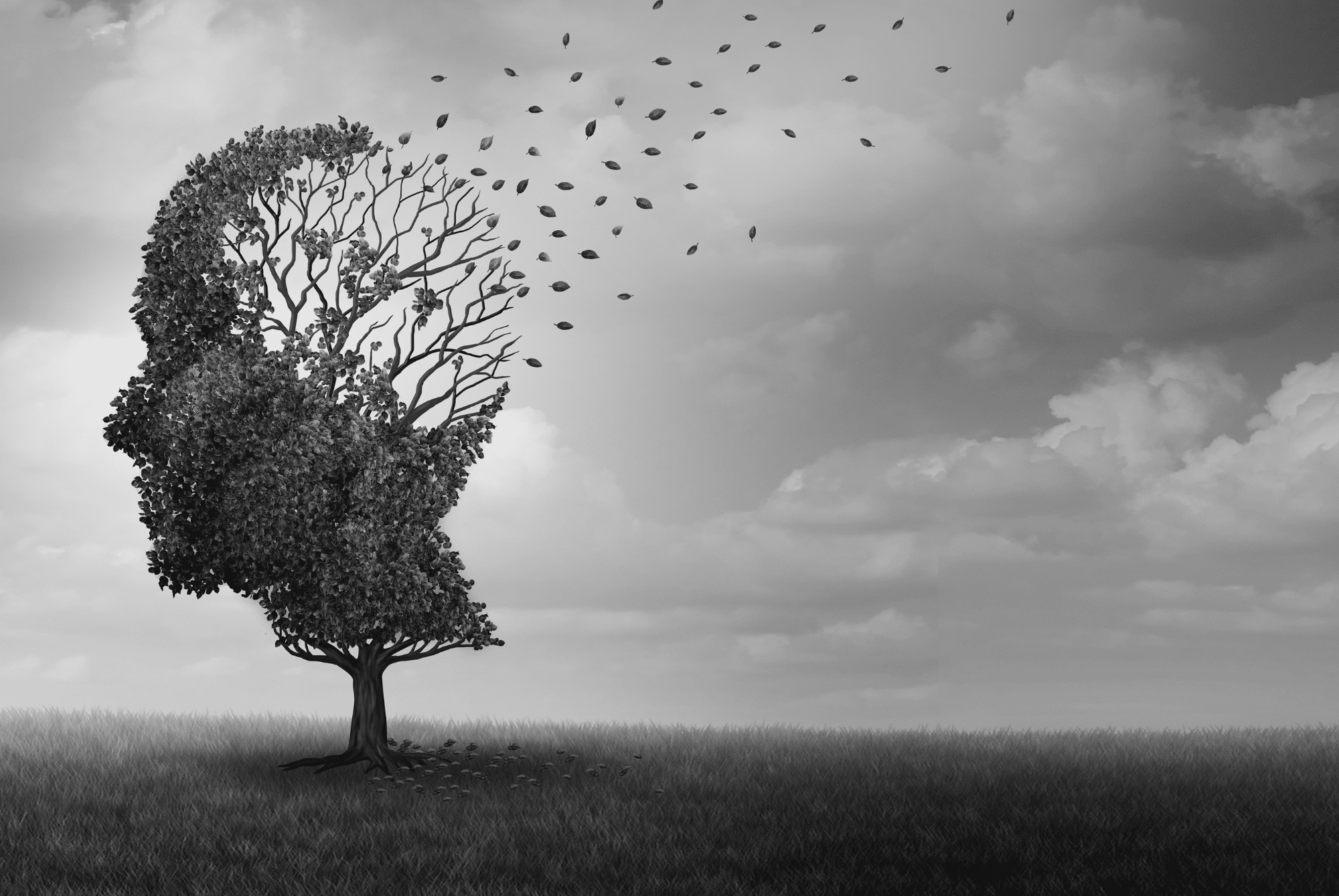 The terror of the soul in the name of schizophrenia: What are the effects of CBD and THC in treatment?