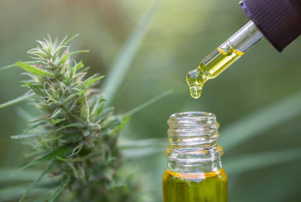 Skutečné informace o CBD, které je potřeba znát!