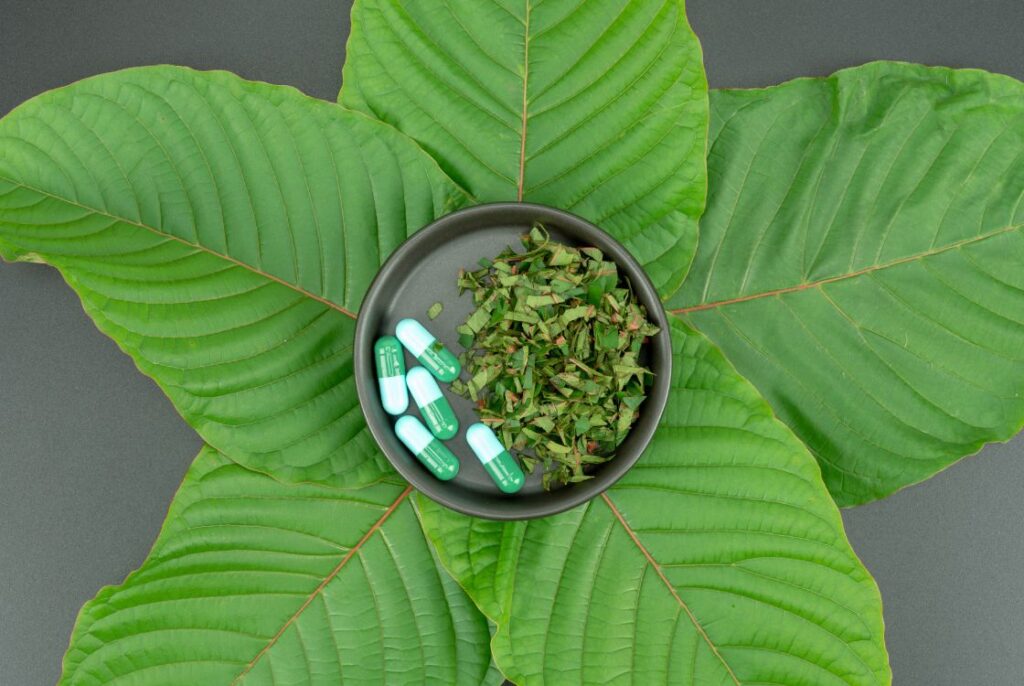 Kratom. How does it work in our body?