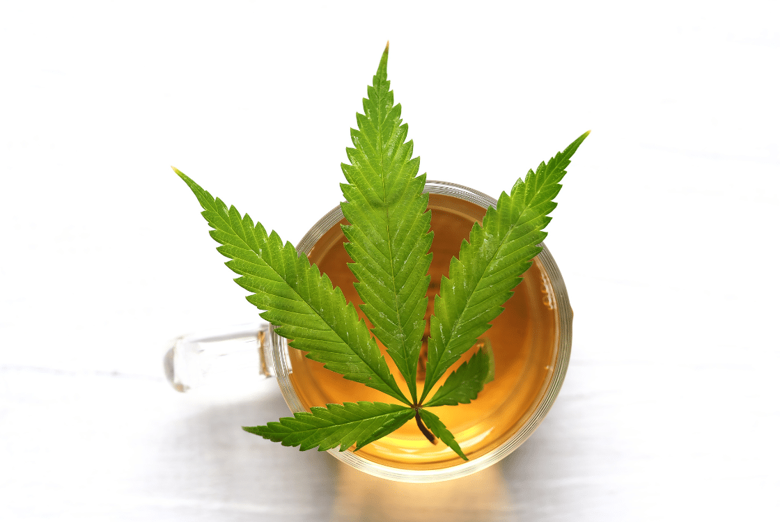 Sacred Harmony: How CBD Hemp Tea Connects Soul and Body?