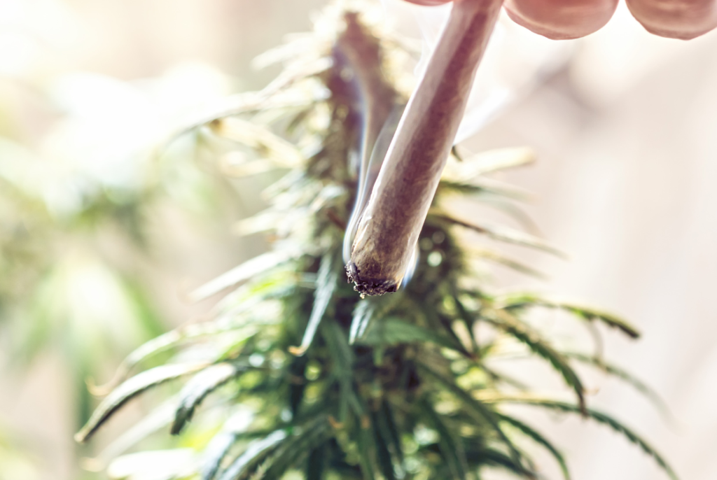 Bannery-blog-1120-x-750-px-14-1024x686