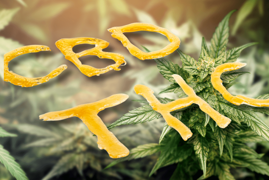 Bannery-blog-2240-×-1500-px-2023-12-26T203012.671-1024x686