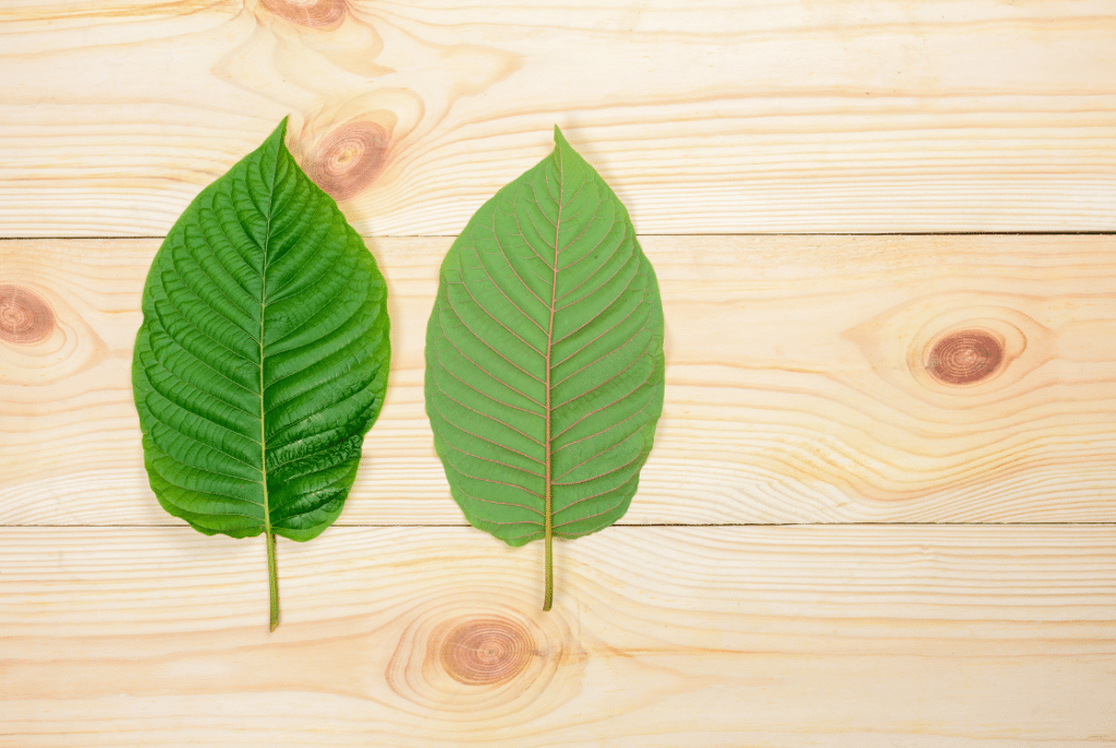 Bannery-blog-2240-×-1500-px-2024-02-07T150732.234-1024x686