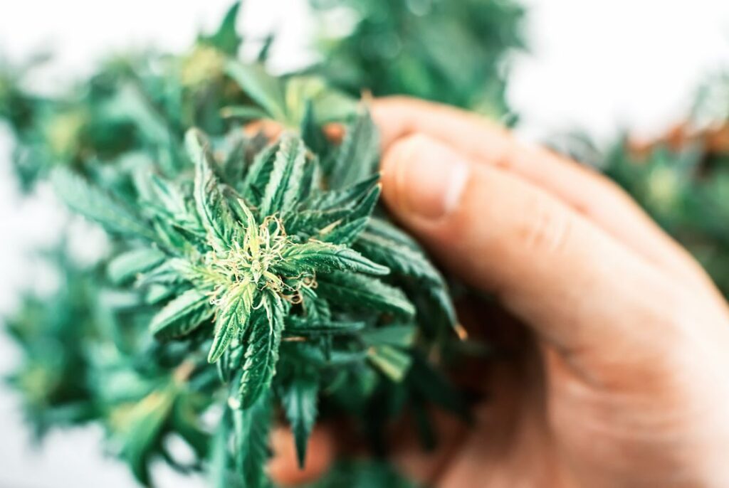 Navrh-bez-nazvu-26-1024x686