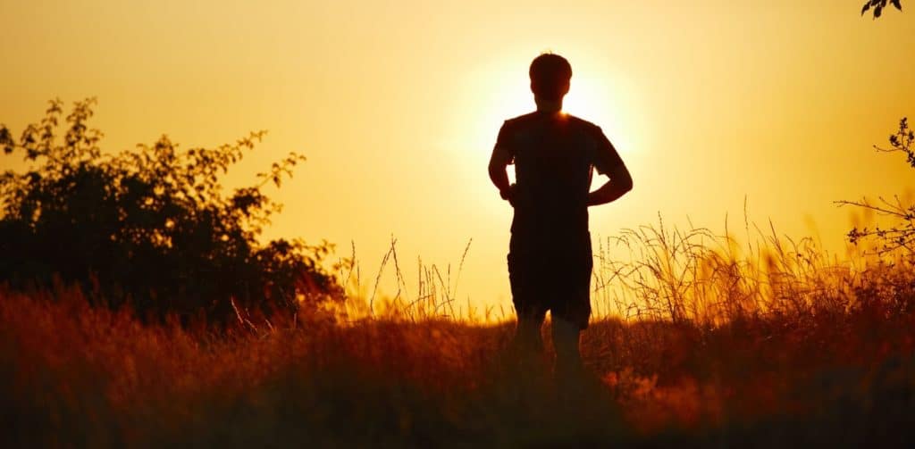 Bannery-blog-16-1024x503