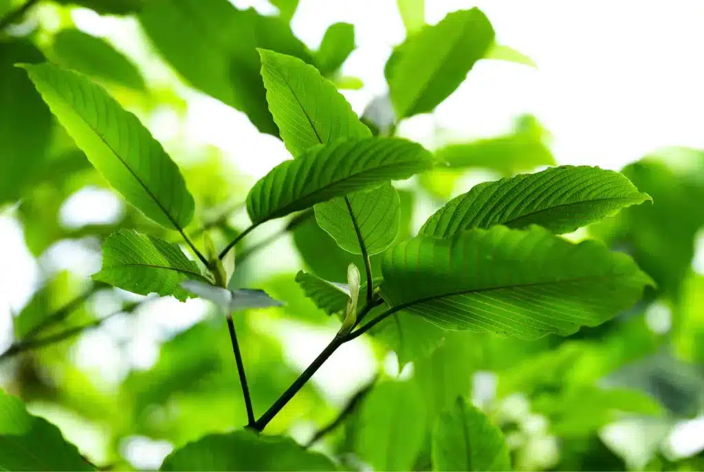 Bannery-blog-2240-×-1500-px-2023-05-01T174701.244-1024x686