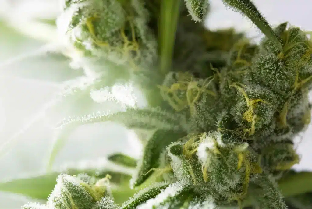 Bannery-blog-2240-×-1500-px-2023-05-10T205703.822-1024x686