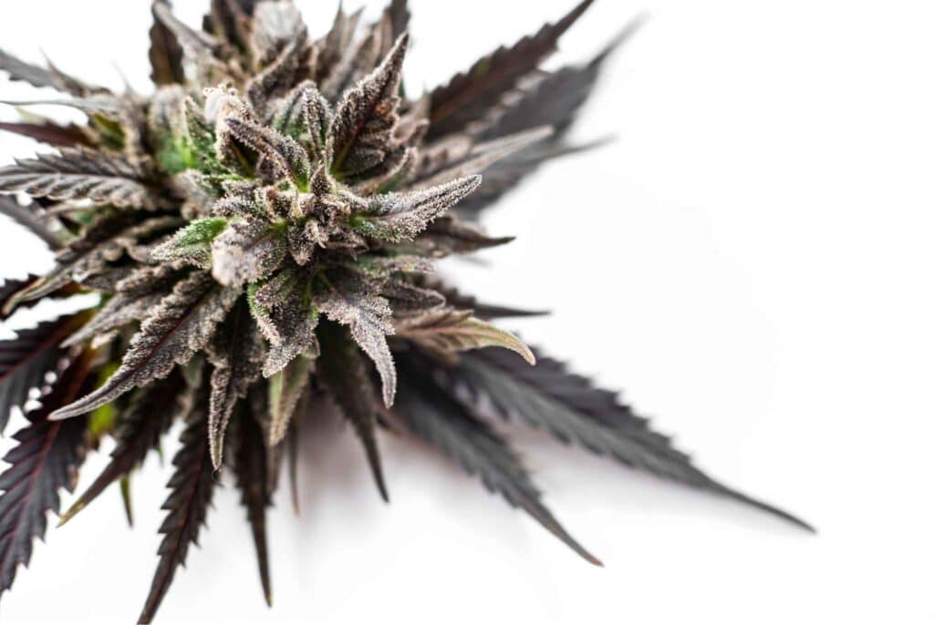 Bannery-blog-2240-×-1500-px-2023-06-19T144537.520-1024x686