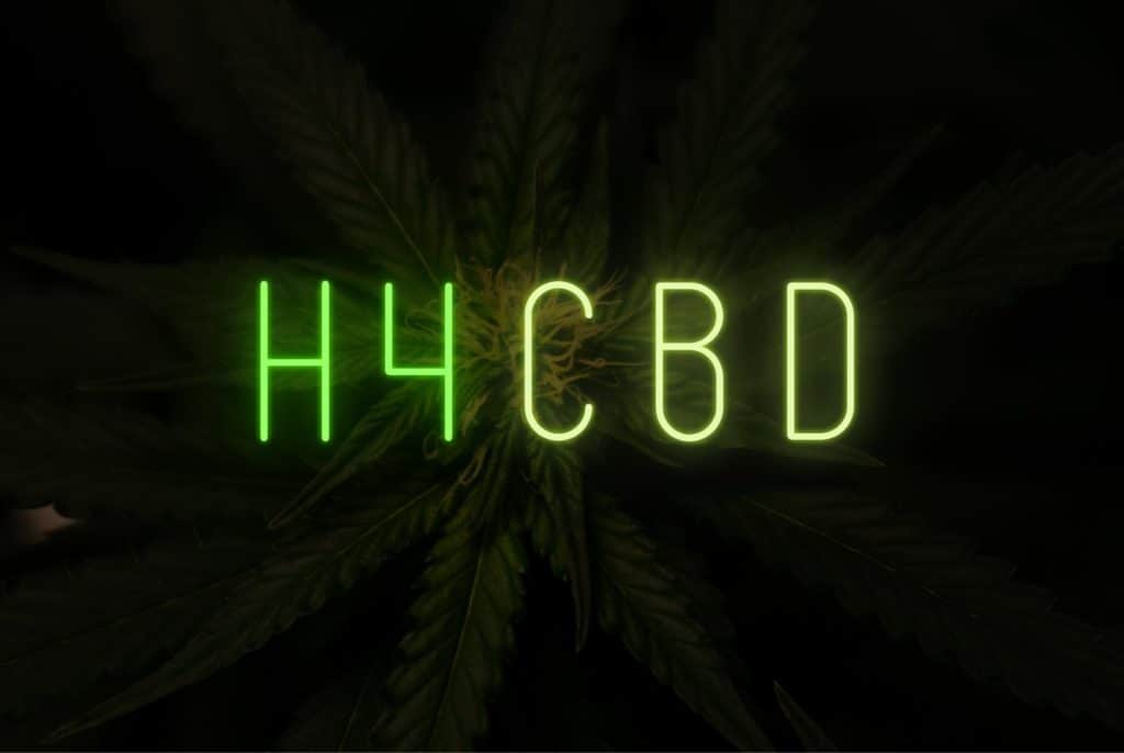 Bannery-blog-2240-×-1500-px-2023-07-02T223100.113-1024x686