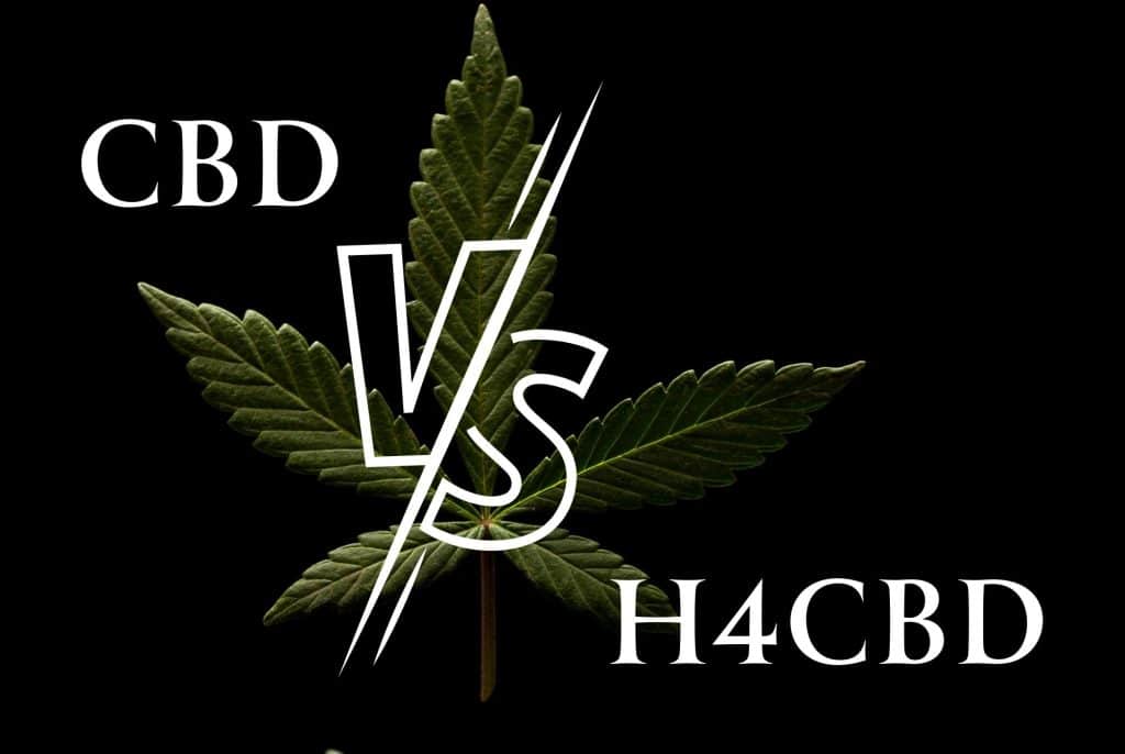 Bannery-blog-2240-×-1500-px-2023-07-08T003313.137-1024x686
