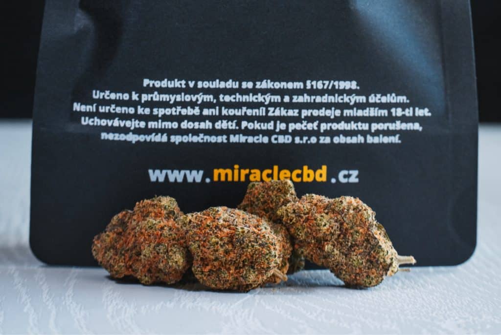Bannery-blog-2240-×-1500-px-2023-07-26T220338.670-1024x686