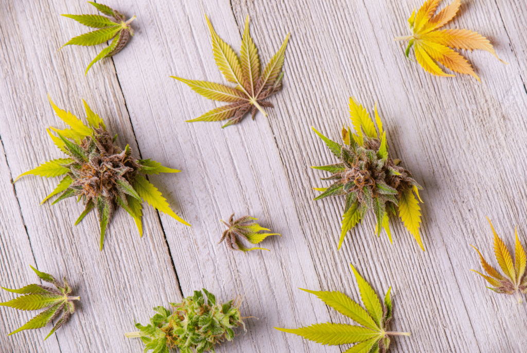 Bannery-blog-2240-×-1500-px-2023-11-24T213239.923-1024x686