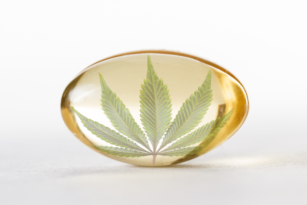 Bannery-blog-2240-×-1500-px-2023-11-24T213350.742-1024x686