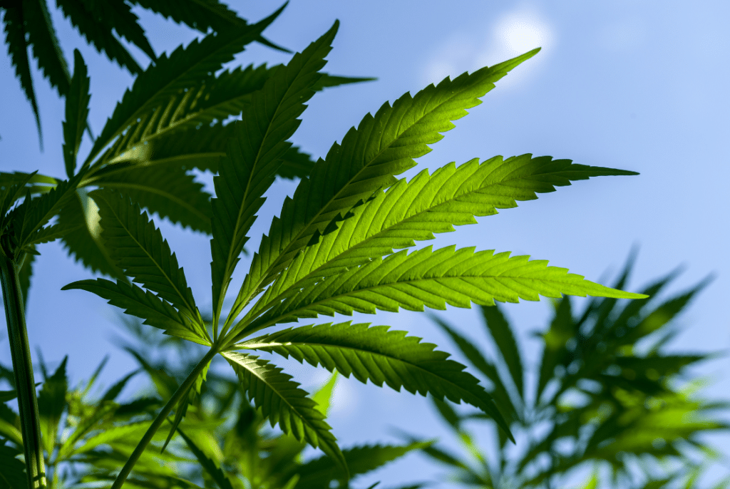 Bannery-blog-2240-×-1500-px-2023-11-24T213653.666-1024x686