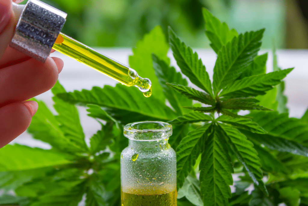 Bannery-blog-2240-×-1500-px-2023-11-25T103157.479-1024x686