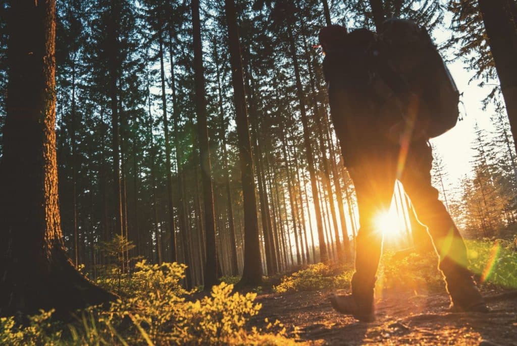 Bannery-blog-2240-×-1500-px-7-1024x686