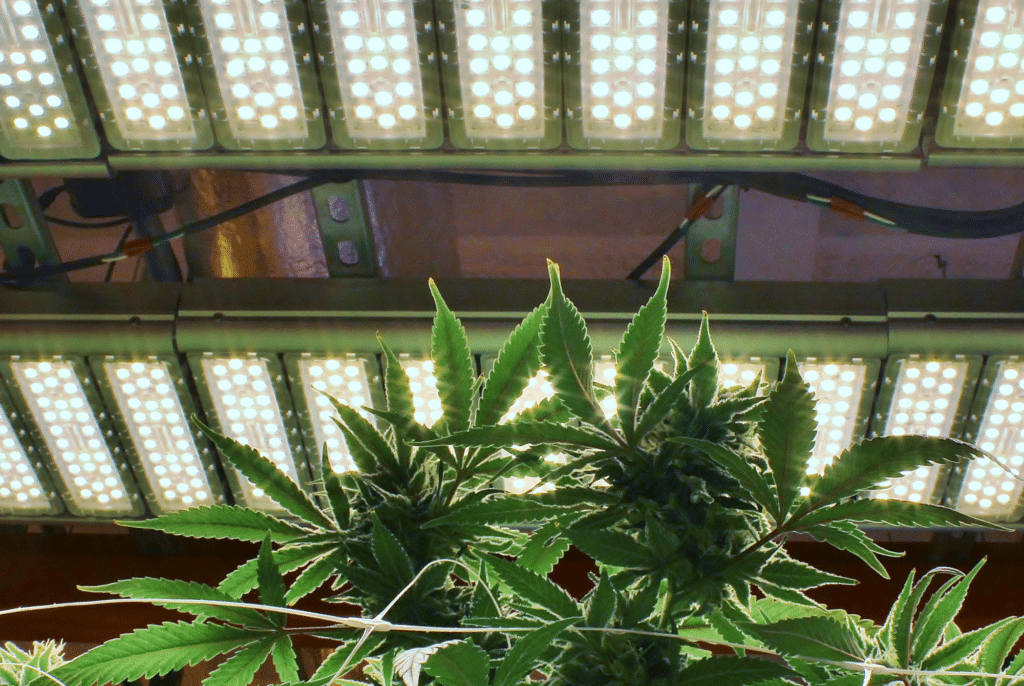 Bannery-blog-2240-×-1500-px-77-1024x686