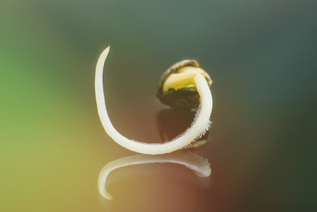 Bannery-blog-2240-×-1500-px-81-1024x686