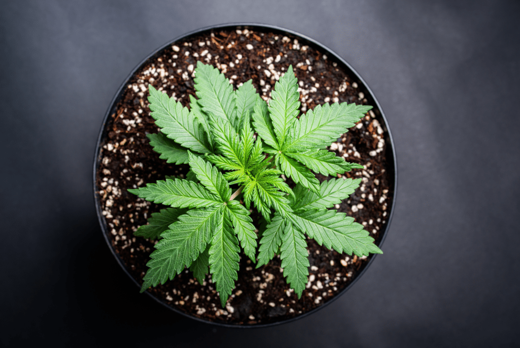 Bannery-blog-2240-×-1500-px-82-1024x686